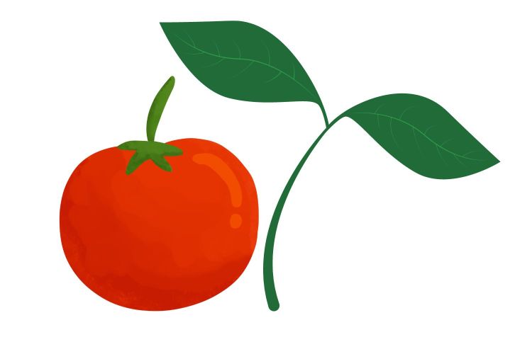 Tomaattien Muuttopäivä
